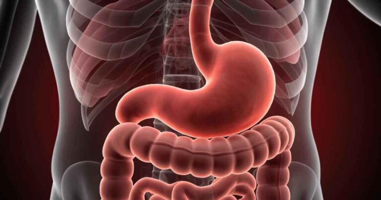 Managing Digestive Problems and Spasms